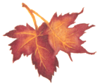 Autumnal intertwining